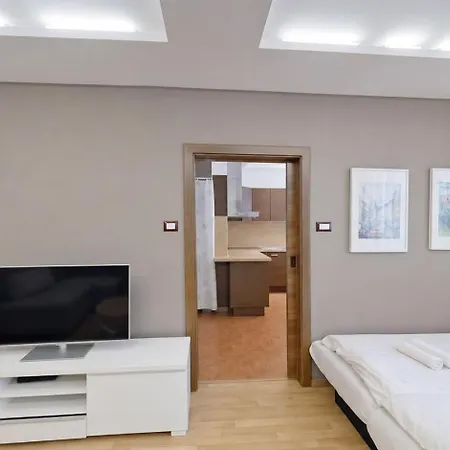 2br With Garage Parking, Walking To Centre And Stadiums Apartment *